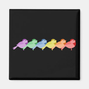 Regenbogen-Rotkehlchen Magnet