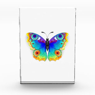 Regenbogen Schmetterling Pfauenauge Fotoblock