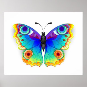 Regenbogen Schmetterling Pfauenauge Poster