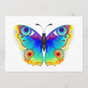 Regenbogen Schmetterling Pfauenauge Programm