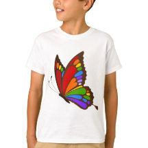 Regenbogen-Schmetterling