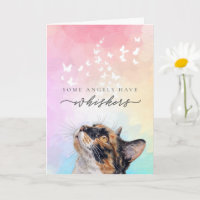 Regenbogen-Schneebart-Dreifarbige-Katze-Trost-Symp