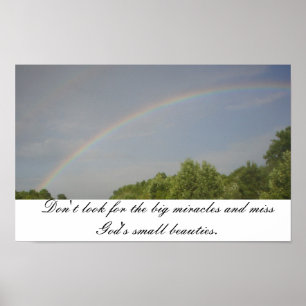 Regenbogen-Schönheiten Poster