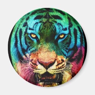 Regenbogen-Tiger Magnet