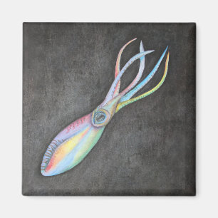 Regenbogen-Tintenfisch-Magnet Magnet