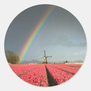 Regenbogen, Tulpen und runder Aufkleber der