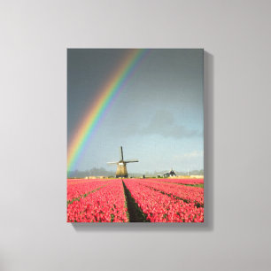 Regenbogen, Tulpen und vertikale Leinwand der
