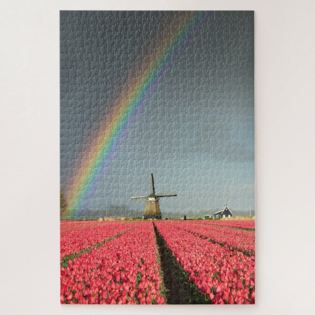 Regenbogen, Tulpen und Windmühle in Holland (Vertikal)