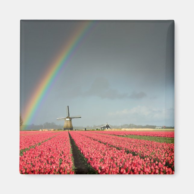 Regenbogen, Tulpen und Windmühle-Magnet Magnet (Vorne)