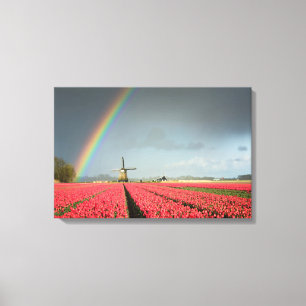 Regenbogen, Tulpen und Windmühlen-Leinwand Leinwanddruck