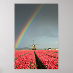 Regenbogen-, Tulpen- und Windmühlen-Poster im Hoch Poster