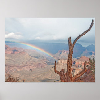 Regenbogen über dem Grand Canyon Poster