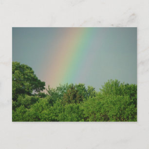 Regenbogen über die Motivierend Postkarte der Bäum