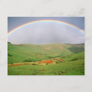 Regenbogen über Hügel, Ostkap, Südafrika Postkarte
