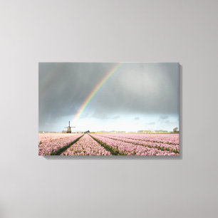 Regenbogen über Hyazinthen und eine Windmühle in Leinwanddruck