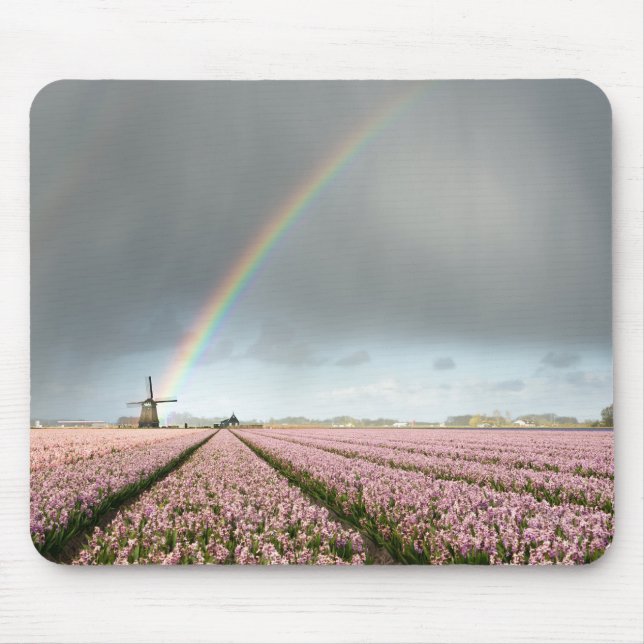 Regenbogen über Hyazinthen und eine Windmühle in Mousepad (Vorne)