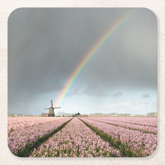 Regenbogen über Hyazinthen und eine Windmühle in Rechteckiger Pappuntersetzer (Vorderseite)