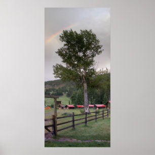 Regenbogen über Sweetgrass Ranch Poster