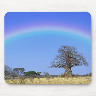 Regenbogen und afrikanischer Baobab-Baum, Adansoni Mousepad