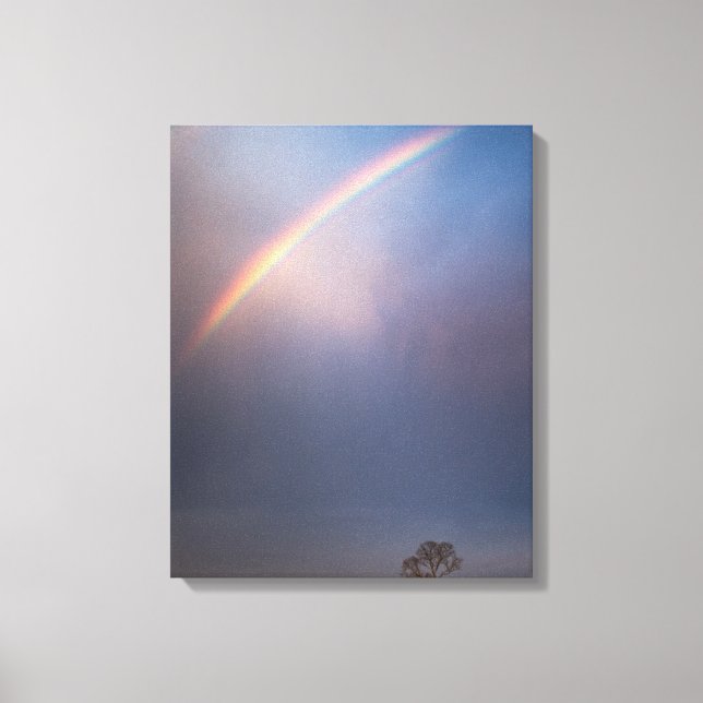 Regenbogen- und Baumlandschaft Leinwanddruck (Vorderseite)