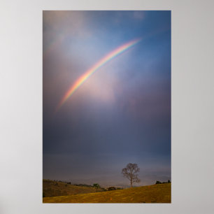 Regenbogen- und Baumlandschaft Poster