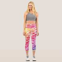 Regenbogen Zebra
