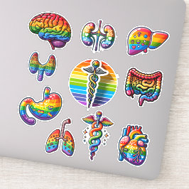 Regenbogenanatomie Aufkleber
