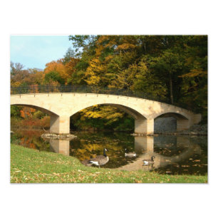 Regenbogenbrücke im Herbst am Grove City College Fotodruck