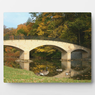 Regenbogenbrücke im Herbst an der Grove City Uni Fotoplatte