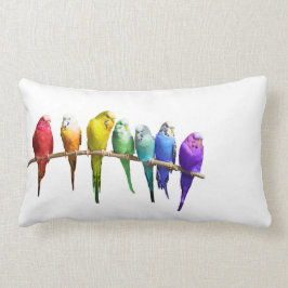 REGENBOGENBUDGERIGARS weißes Kissen-Kissen Lendenkissen