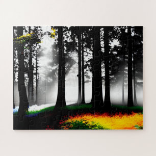 Regenbogenfarbe auf Silhouette Forest für Kinder
