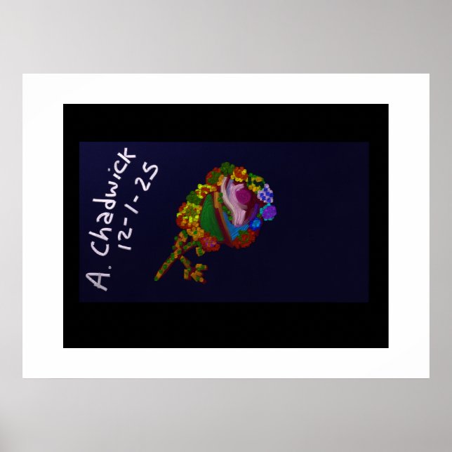 Regenbogenfarbene Blüten Poster (Vorne)