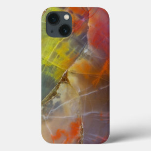 Regenbogenfarbenes versteinertes Holz Case-Mate iPhone Hülle