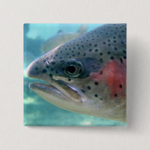 Regenbogenforelle Button