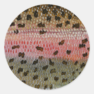 Regenbogenforelle-Fisch-Haut-Druck Runder Aufkleber