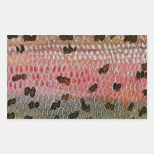 Regenbogenforelle Fischhaut Rechteckiger Aufkleber