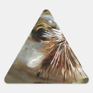 Regenbogenforelle-Foto Dreieckiger Aufkleber