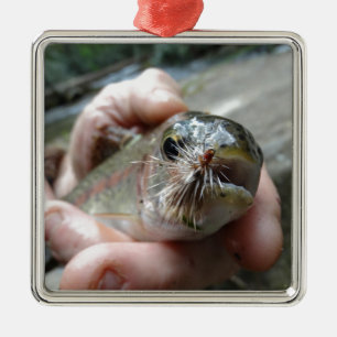 Regenbogenforelle Foto Ornament Aus Metall