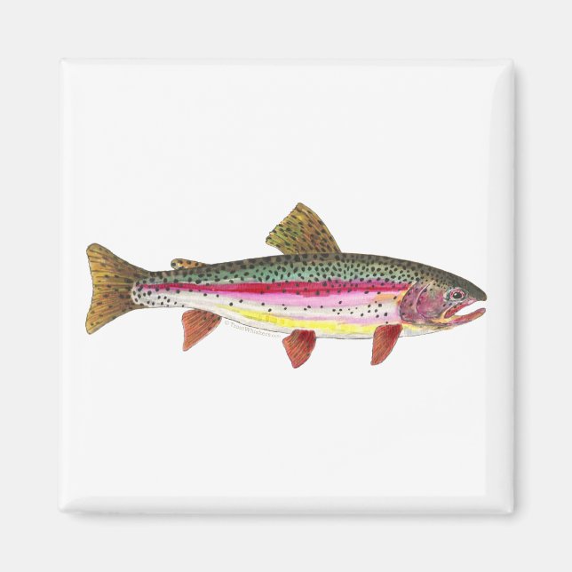 Regenbogenforelle Magnet (Vorne)