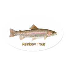 Regenbogenforelle (mit Titel)