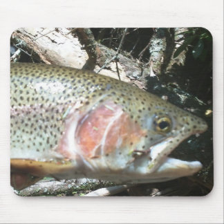 Regenbogenforelle Mousepad