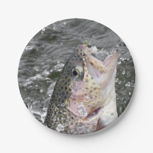 Regenbogenforelle nimmt den Köder Pappteller