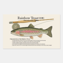 Regenbogenforelle (Oncorhynchus mykiss) – Englisch Rechteckiger Aufkleber