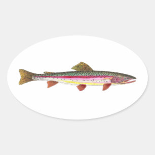 Regenbogenforelle Ovaler Aufkleber