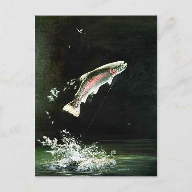 Regenbogenforelle Postkarte (Vorderseite)