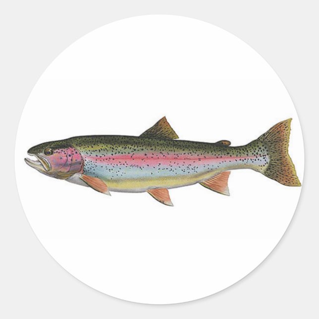 Regenbogenforelle Runder Aufkleber (Vorderseite)