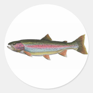 Regenbogenforelle Runder Aufkleber
