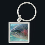 Regenbogenforelle Schlüsselanhänger<br><div class="desc">Kennzeichnet ein Nahaufnahme-Foto einer Regenbogenforelle (manchmal genannt eine Lachsforelle) durch ein Betrachtungsfenster am Bonneville-Fisch-Brutplatz in Oregon. Regenbogenforelle sind die gleichen Spezies,  wie Stahlkopf,  der Unterschied,  der dieser Stahlkopf ist-,  einen Seelauf haben und zu den Fischeiern in Frischwasser nach 2-3 Jahren in Meer zurückgehen.</div>