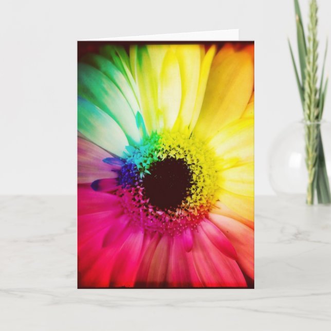Regenbogengerbera-Gänseblümchen-Raum-Gruß-Karte Karte (Vorderseite)