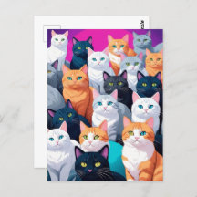 Regenbogenkatzen, Postkreuz